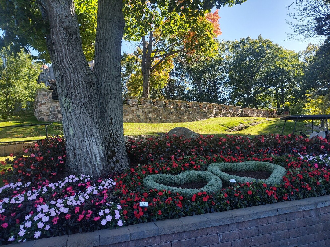 Heart Island-亚历山德里亚贝必去景点
