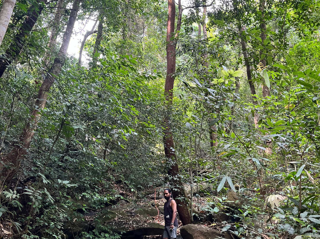 Forested India Expeditions-Sringeri必去景点