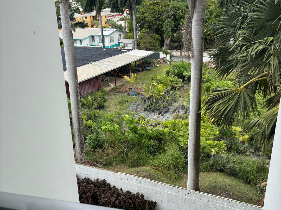 Sandals Royal Barbados主图