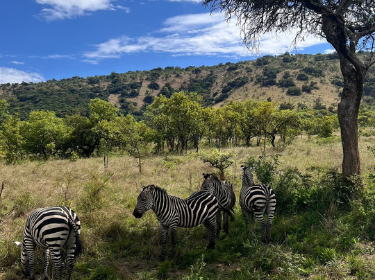 Great Native Safaris-吉佳利必去景点