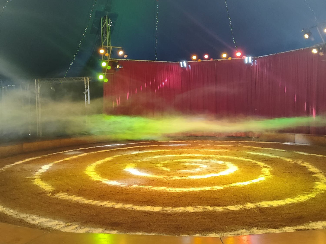 Chapiteau Esprit de cirque-Neoules必去景点