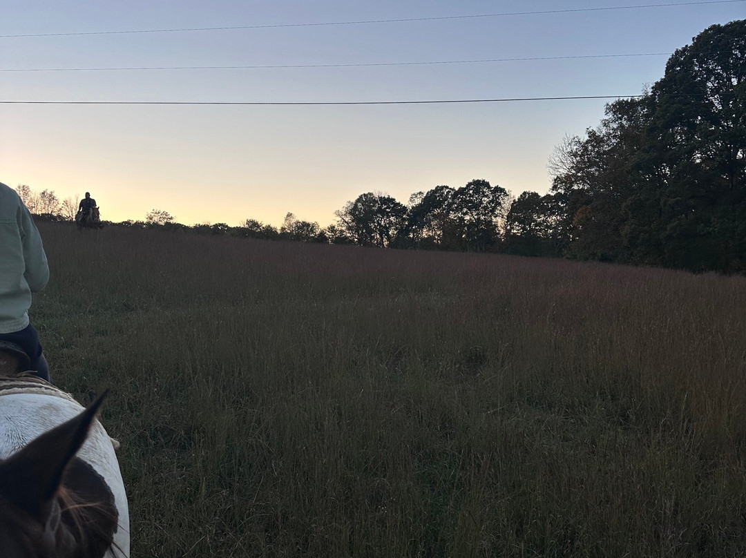 Natchez Trace Stables-Primm Springs必去景点