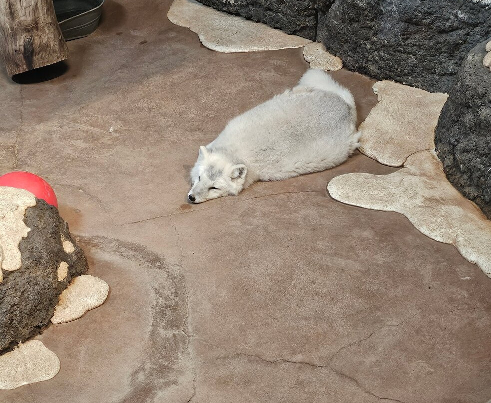 Wildlife World Zoo and Aquarium-Litchfield Park必去景点