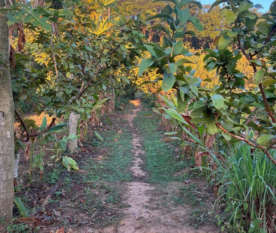 Forest Side Farm主图