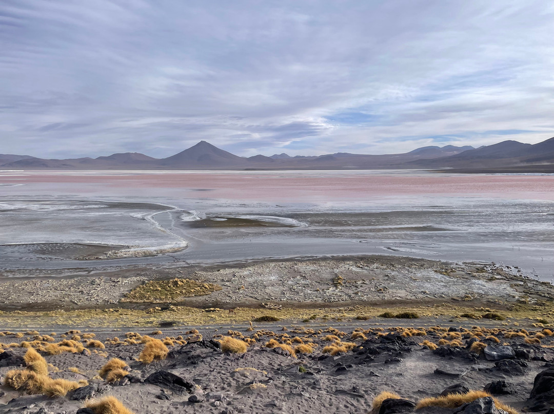 Andes Salt Expeditions Tour Operator-乌尤尼必去景点