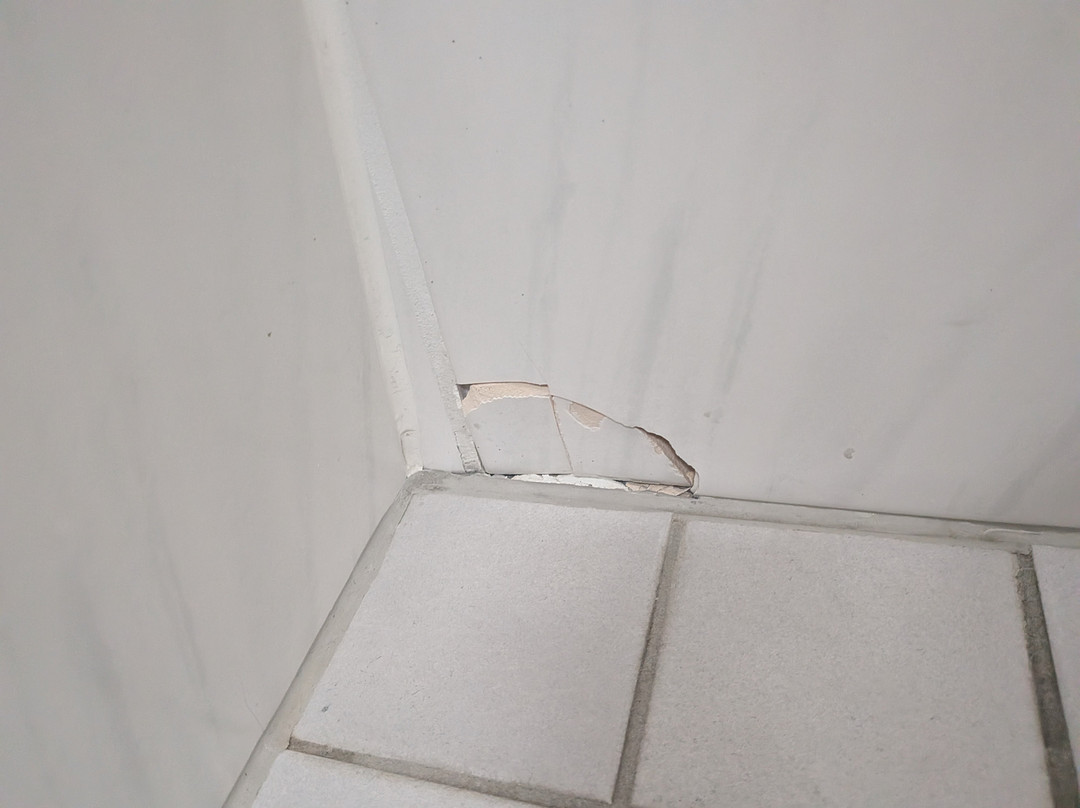 卡塞尔温德姆花园酒店主图