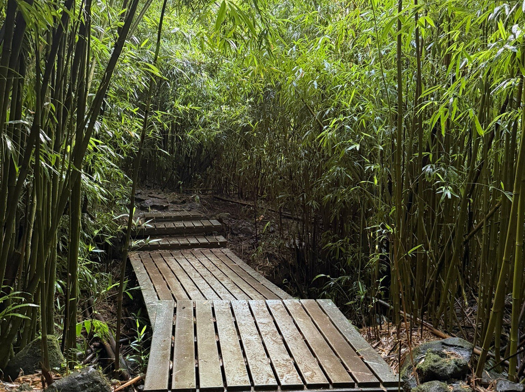Waimoku Falls-毛伊岛必去景点