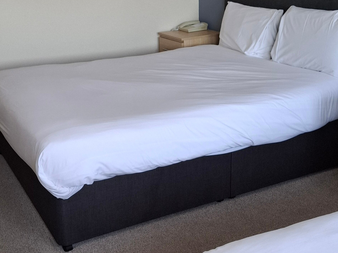 伦勃朗酒店主图