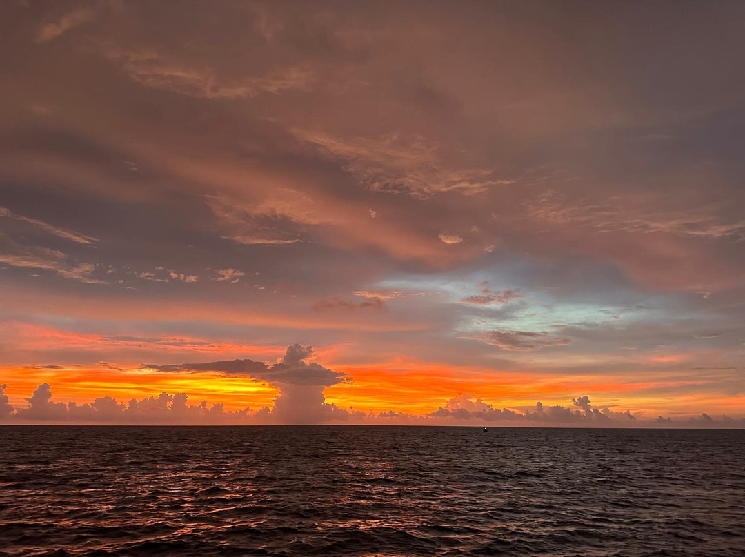 The Smiling Seahorse-拉廊必去景点