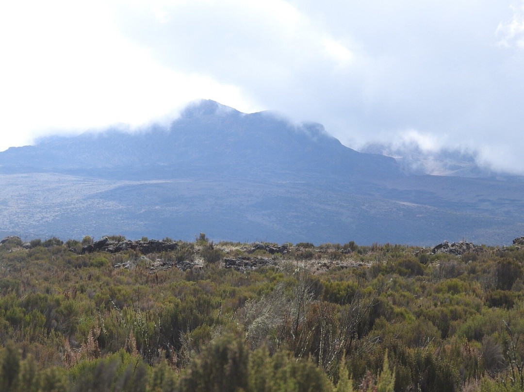 Tranquil Kilimanjaro-Machame必去景点