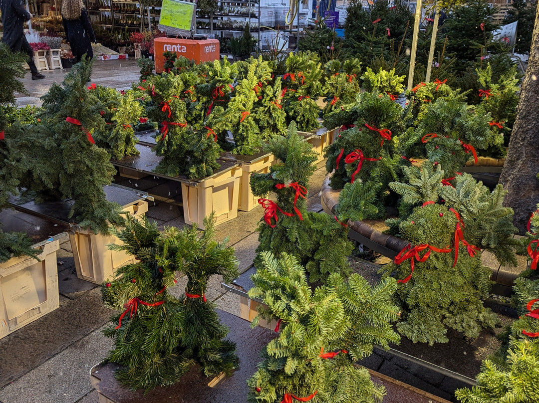 埃斯特马美食广场-斯德哥尔摩必去景点