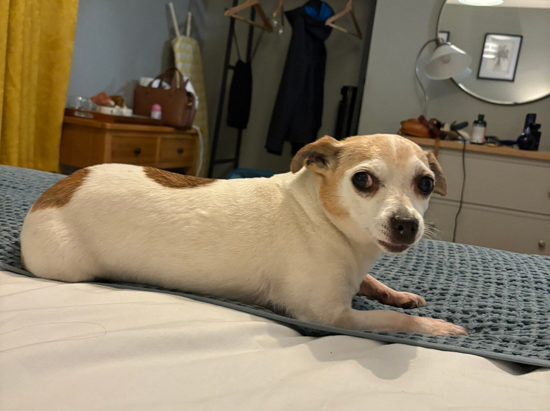 The Vines Bar Rooms主图