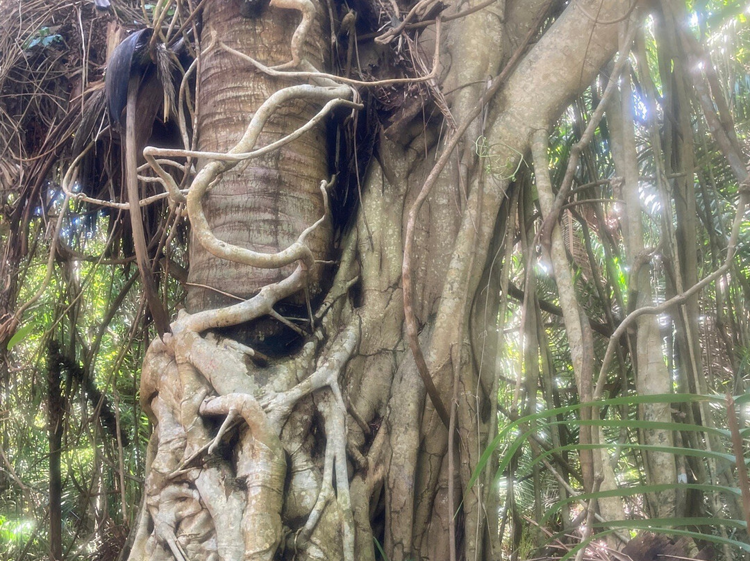 Reserva Natural Sanguare-Rincon del Mar必去景点