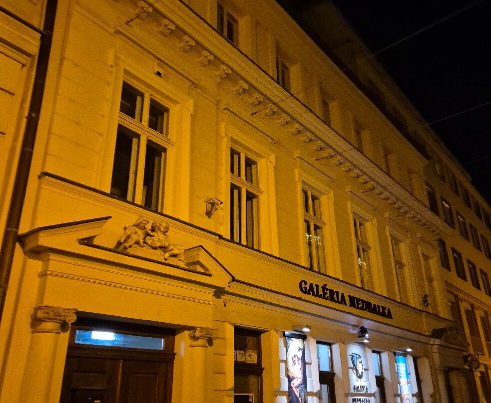 Nedbalka Gallery-布拉迪斯拉发必去景点