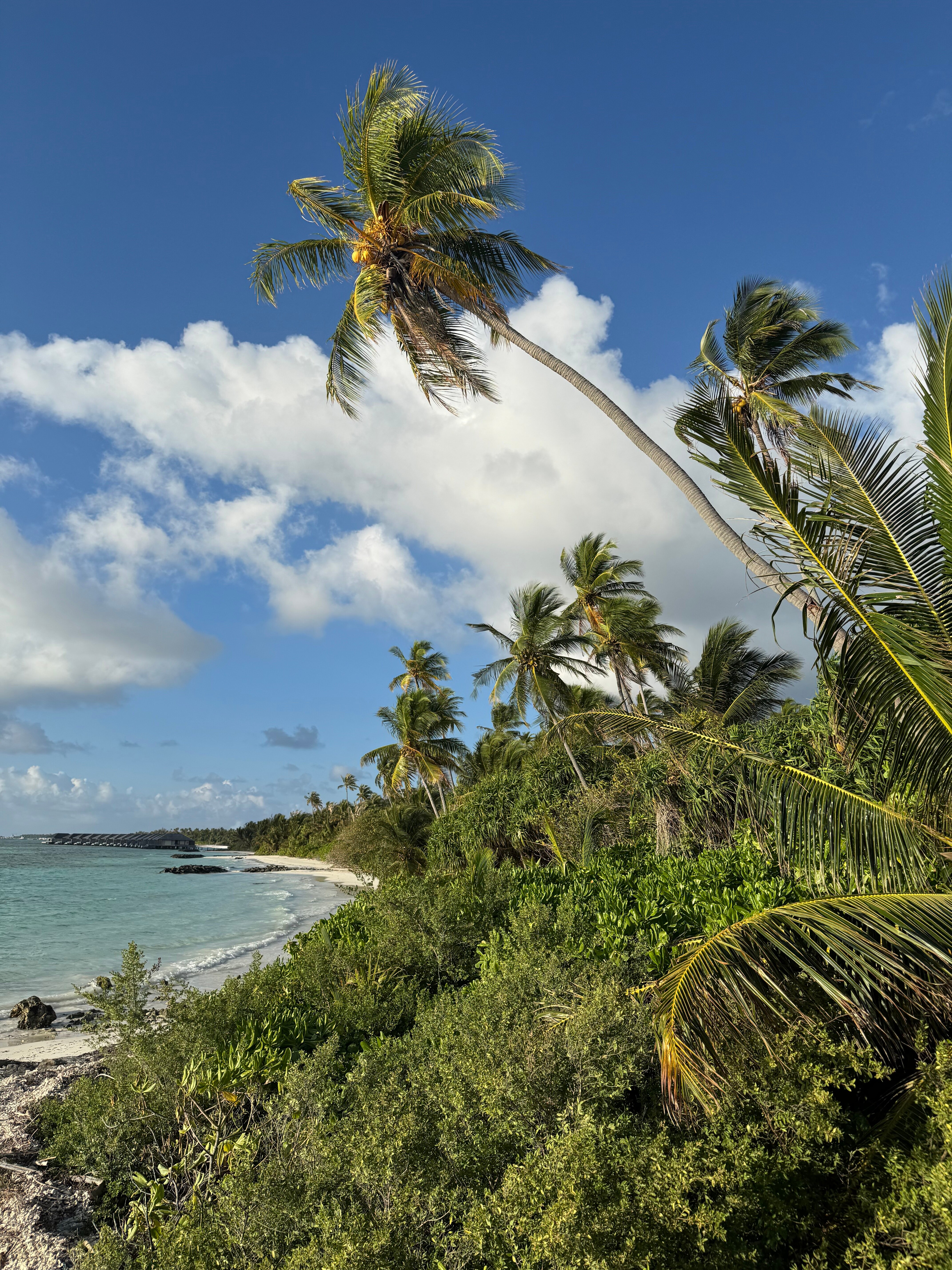 The Residence Maldives at Dhigurah-浴室