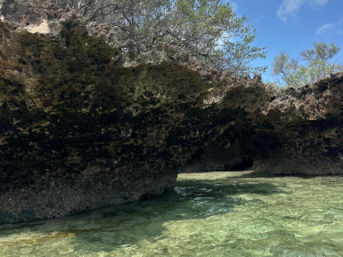 Choum Tours & Safari-桑给巴尔岛必去景点
