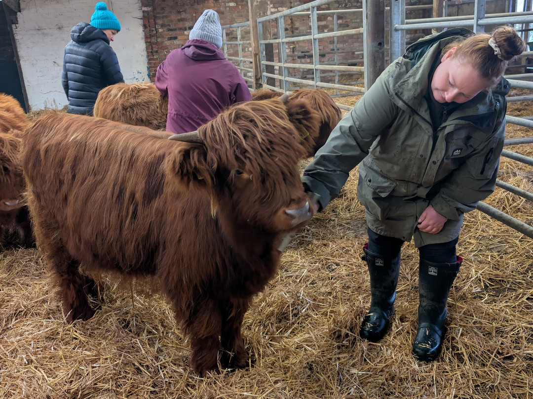 Dumble Farm-比弗利必去景点