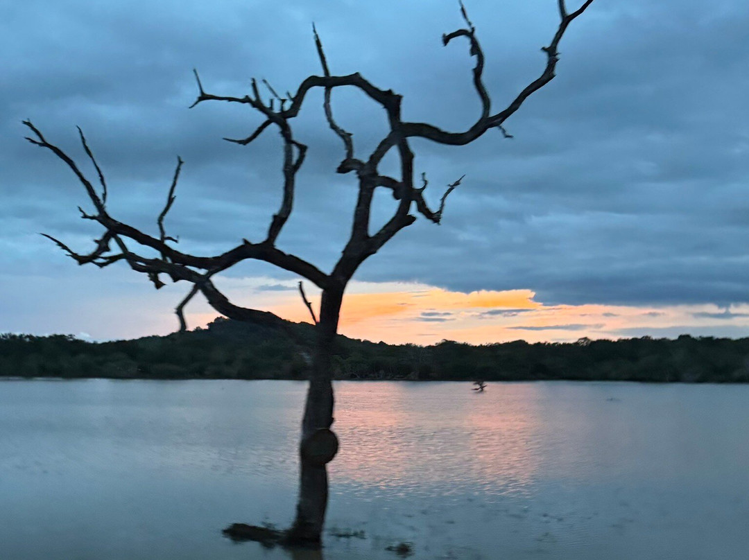 Amaze Tours-Kurunegala必去景点