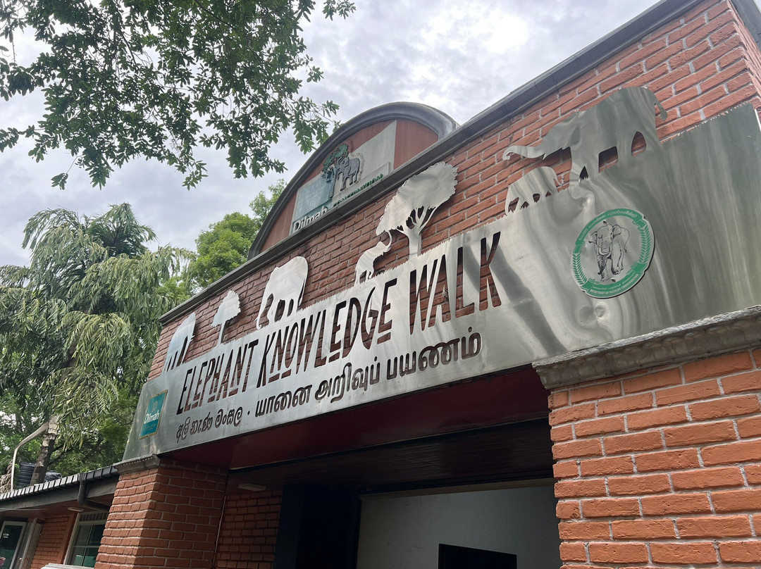 Elephant Transit Home (ETH)-乌达瓦拉维国家公园必去景点