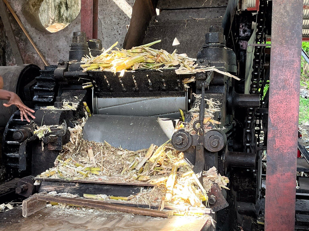 River Antoine Estate Rum Distillery-格林纳达必去景点