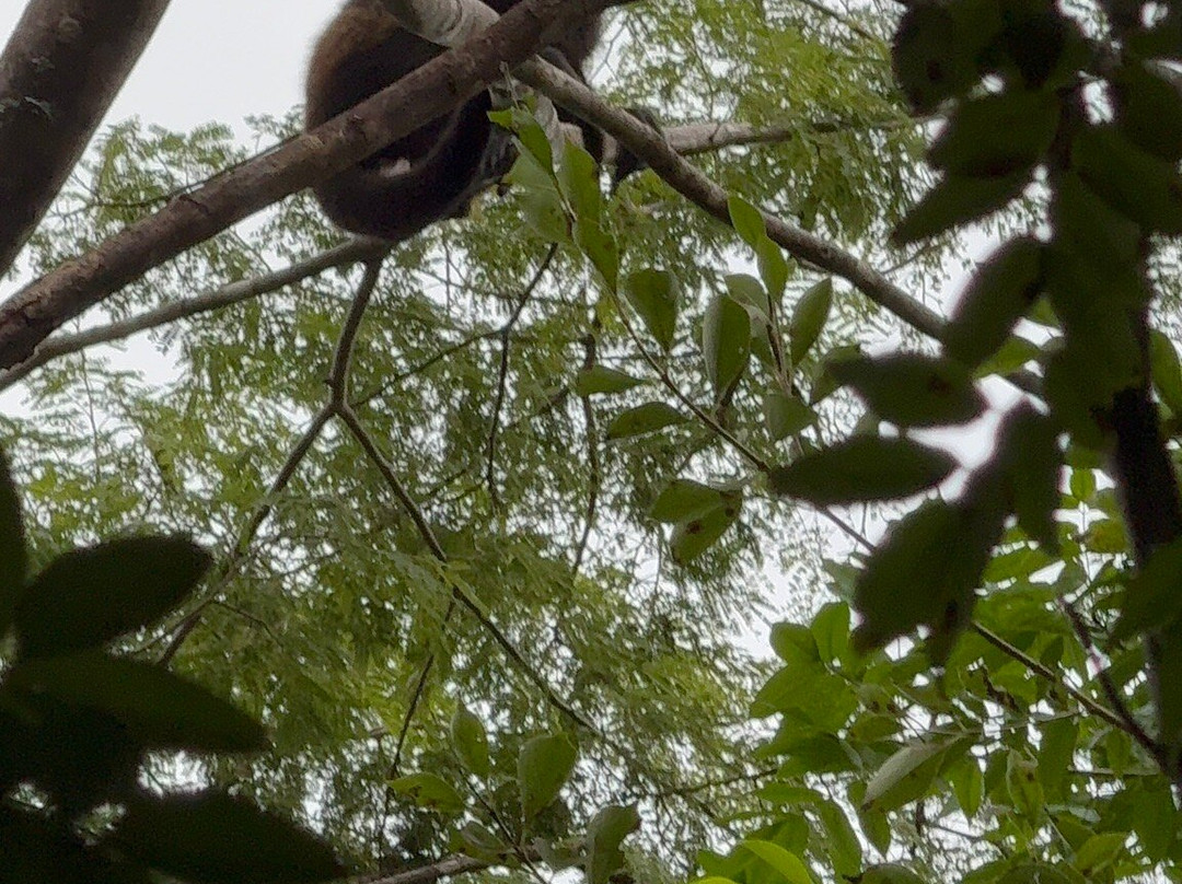 Serendipity Adventures-图里亚尔瓦必去景点