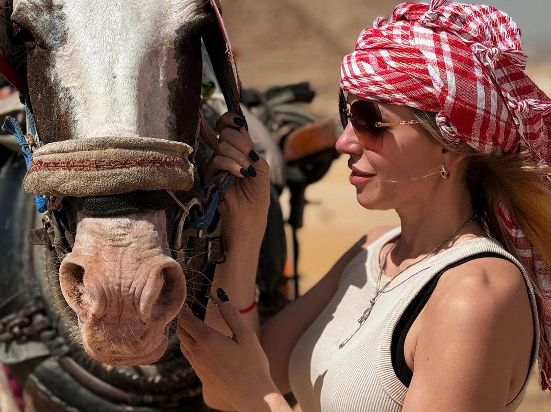 SunGo Tours-Hurghada 1必去景点