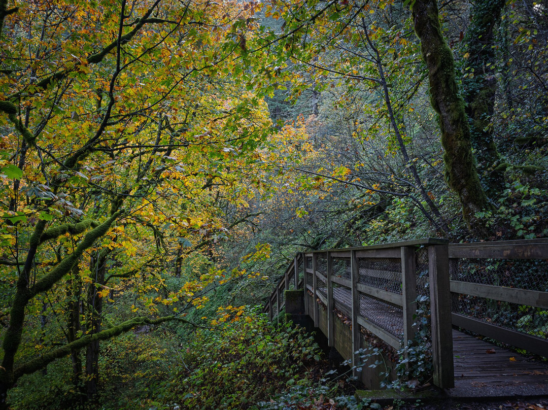 Bridal Veil Falls State Park-Corbett必去景点