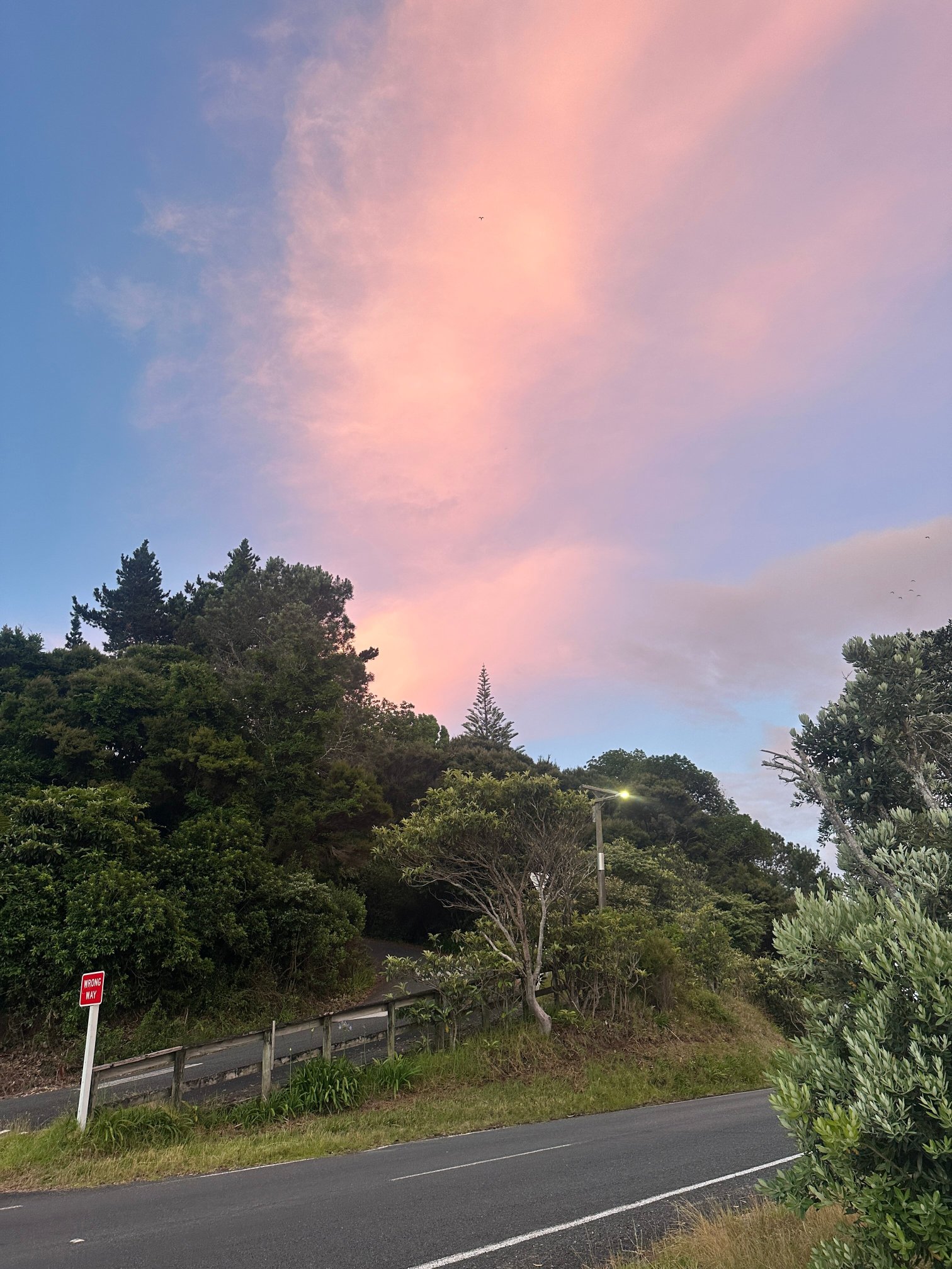 The Old Oak Boutique Hotel-官方