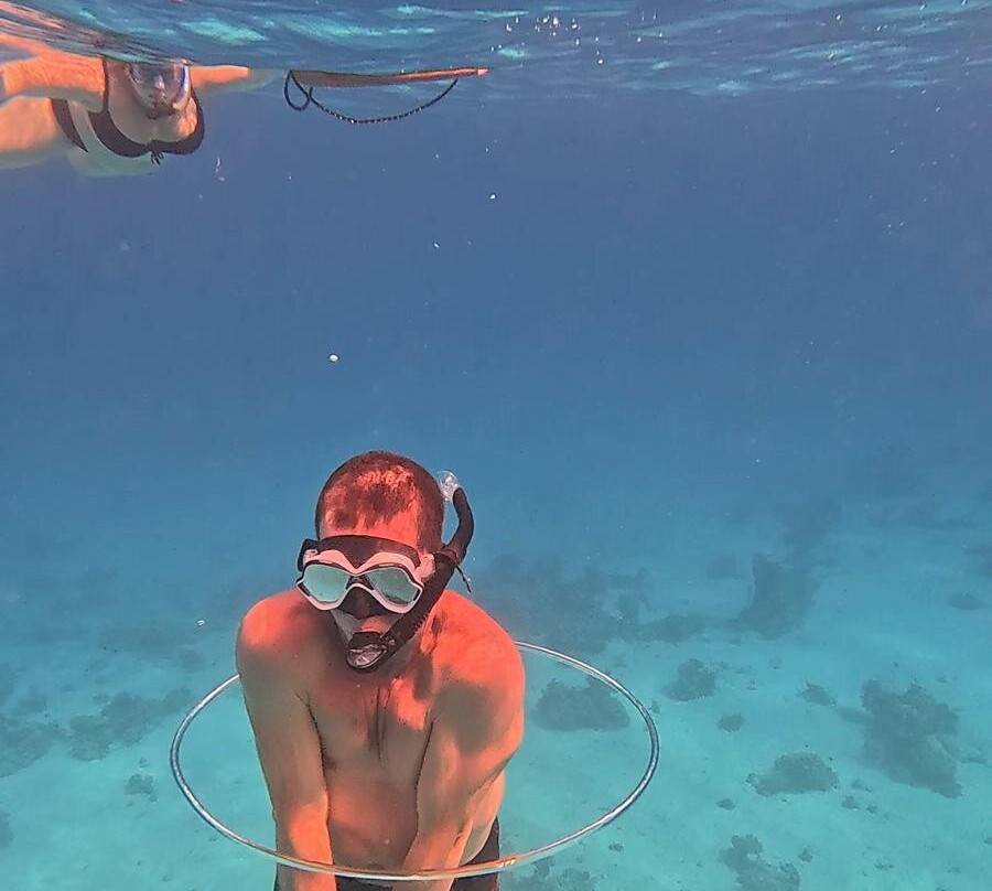 Chill tours-Port Safaga必去景点