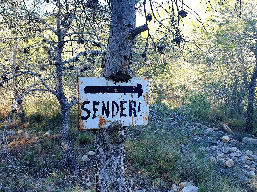 Cruz de Arneva-Arneva必去景点