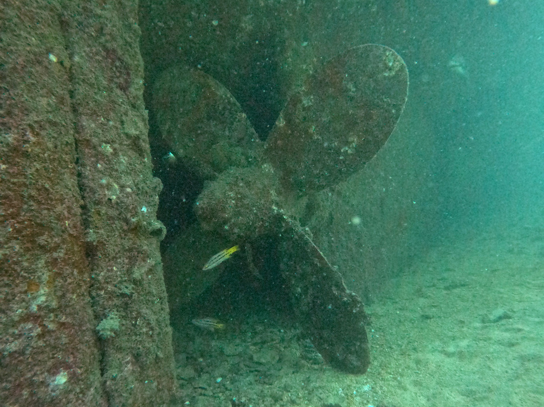 The Cortez Club-拉巴斯必去景点