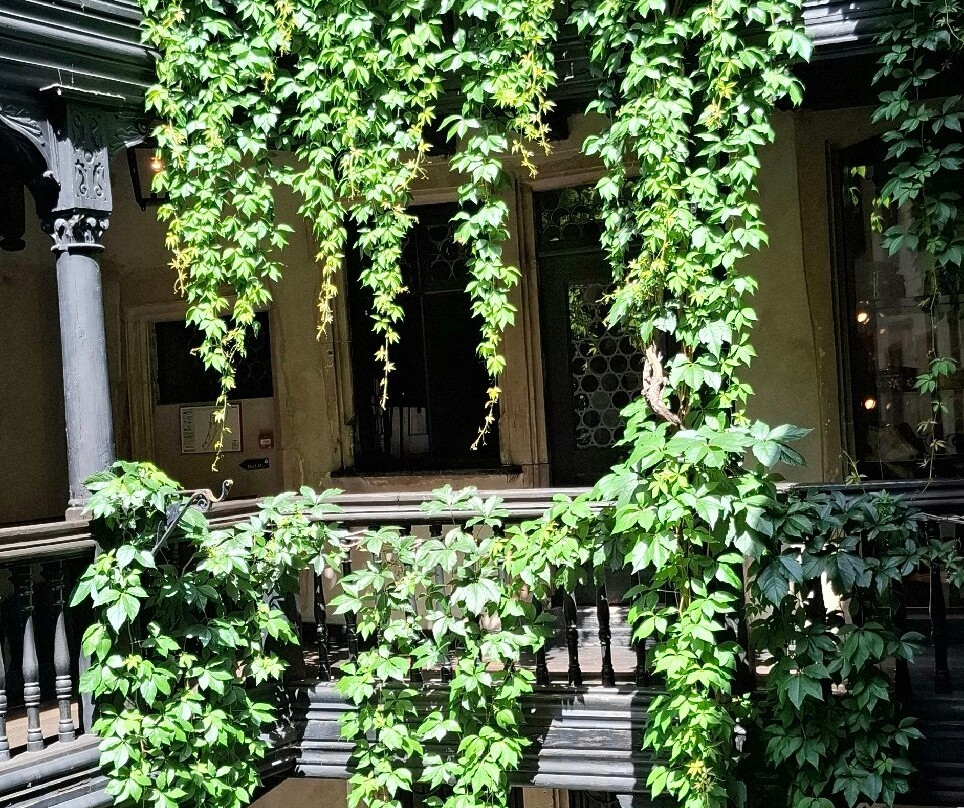 阿尔萨斯博物馆-斯特拉斯堡必去景点