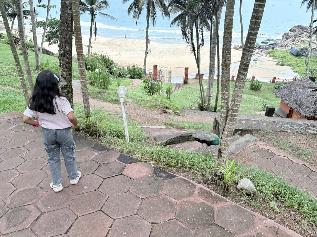 Soma Palmshore Beach Resort