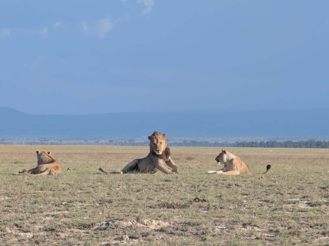 Bienvenido Kenya Tours and Safaris-山祖必去景点