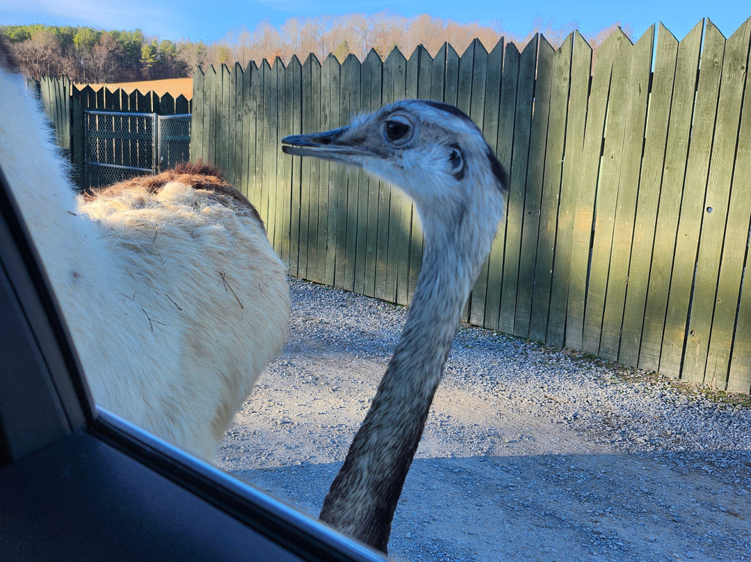 弗吉尼亚游猎公园-天然桥必去景点
