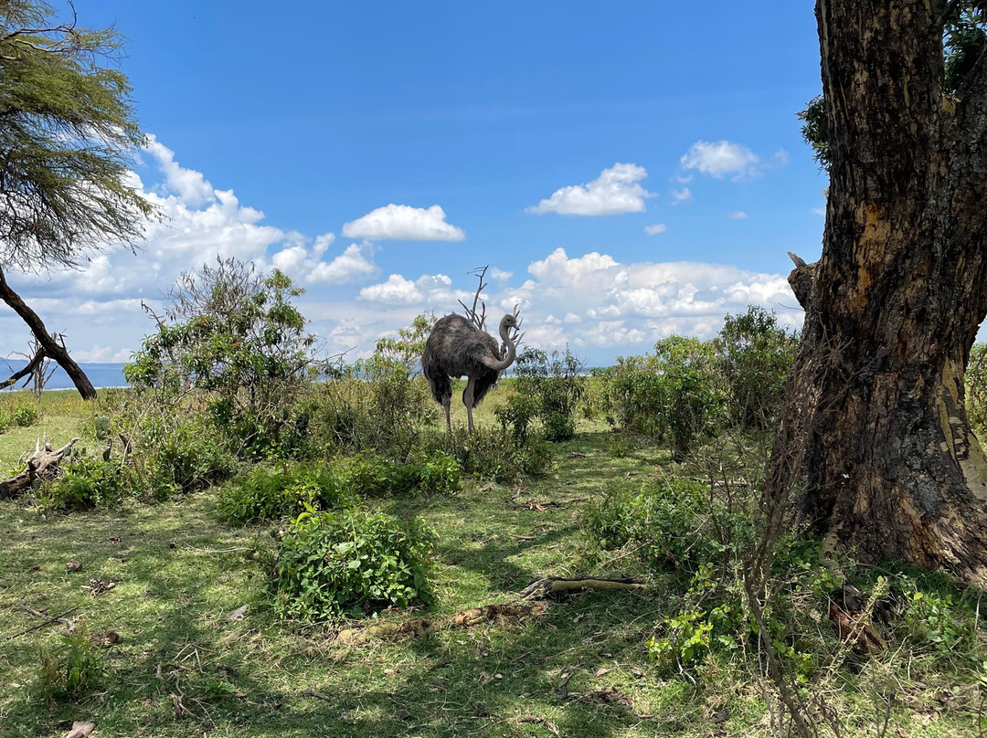 Endless Thrill Adventures-内罗毕必去景点