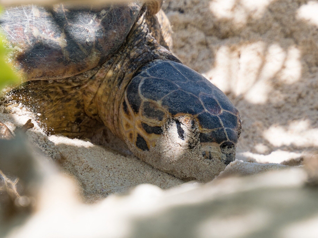 Angel Tours-Amitie必去景点