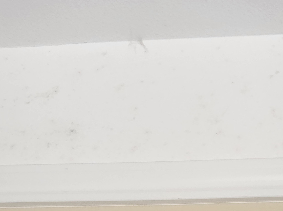 Best Western Plus Monica Royale Inn & Suites主图