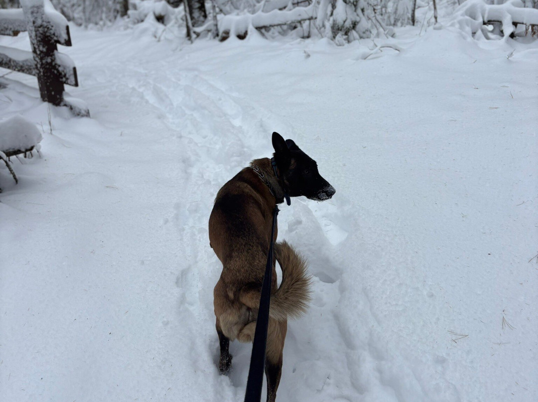 Pattison State Park-Superior必去景点