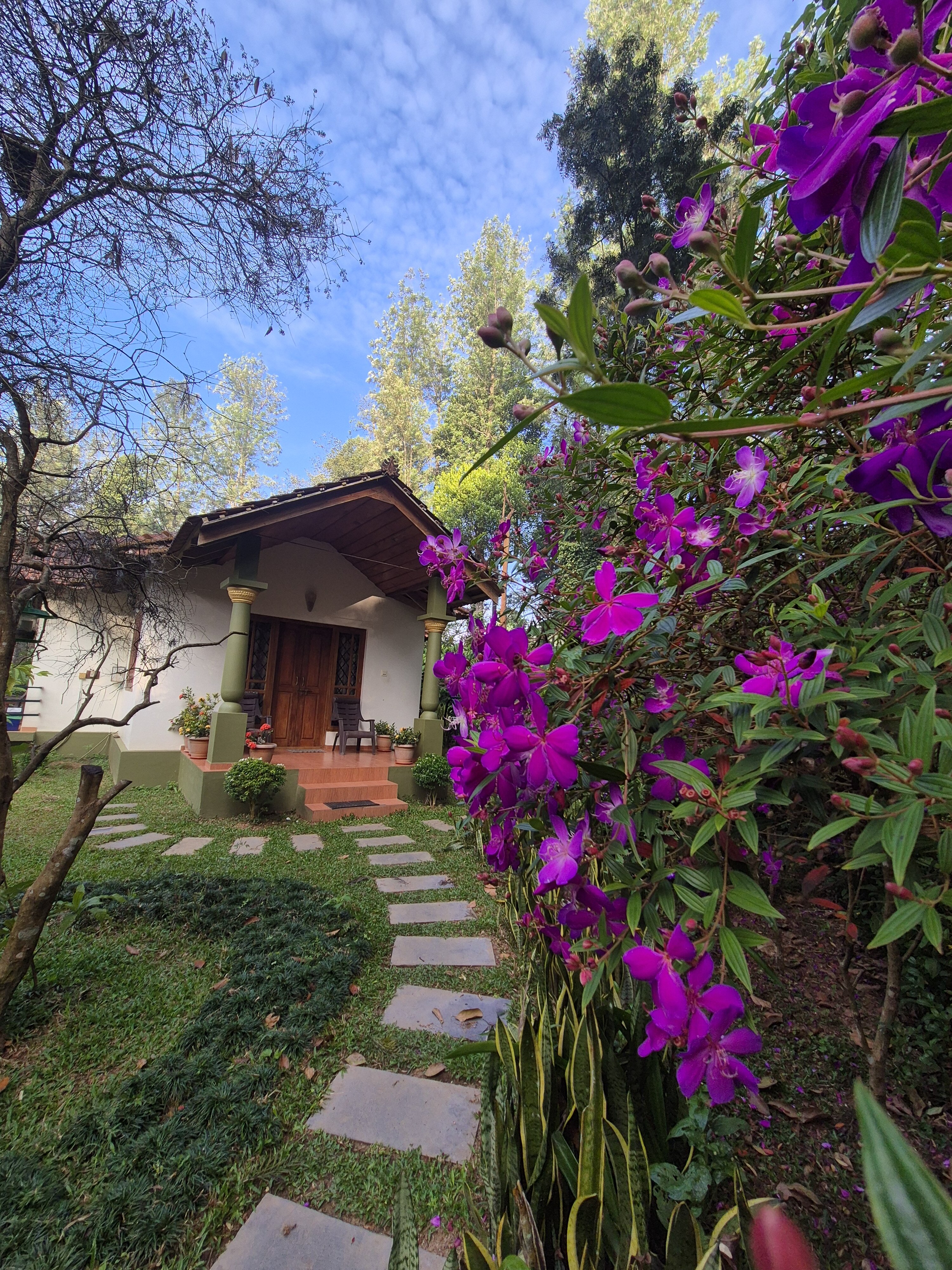 Natura Vista - A Plantation Stay-官方