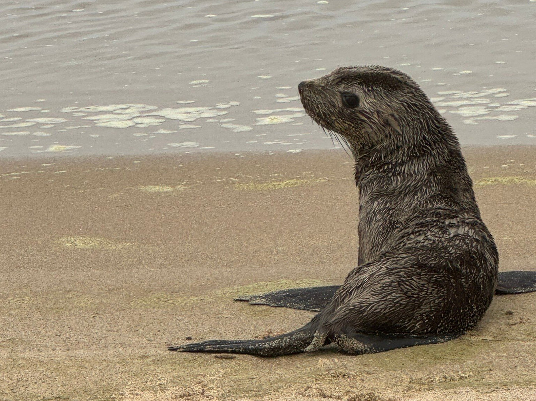 Desert Dunes & Dust Tours-斯瓦科普蒙德必去景点
