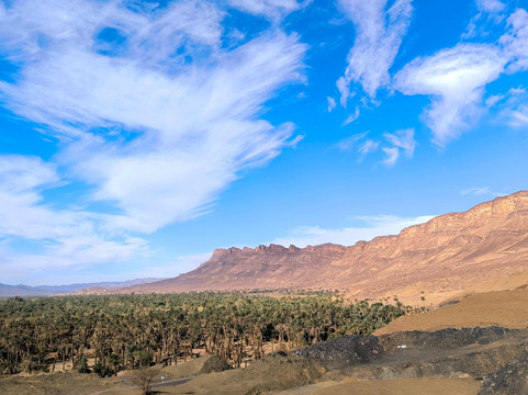 Desert Stars tours-瓦尔扎扎特必去景点