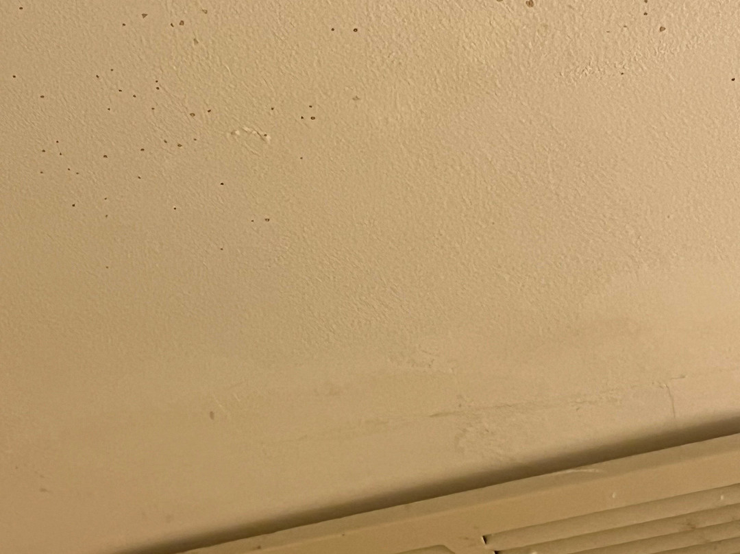 帕西波尼大使套房酒店主图