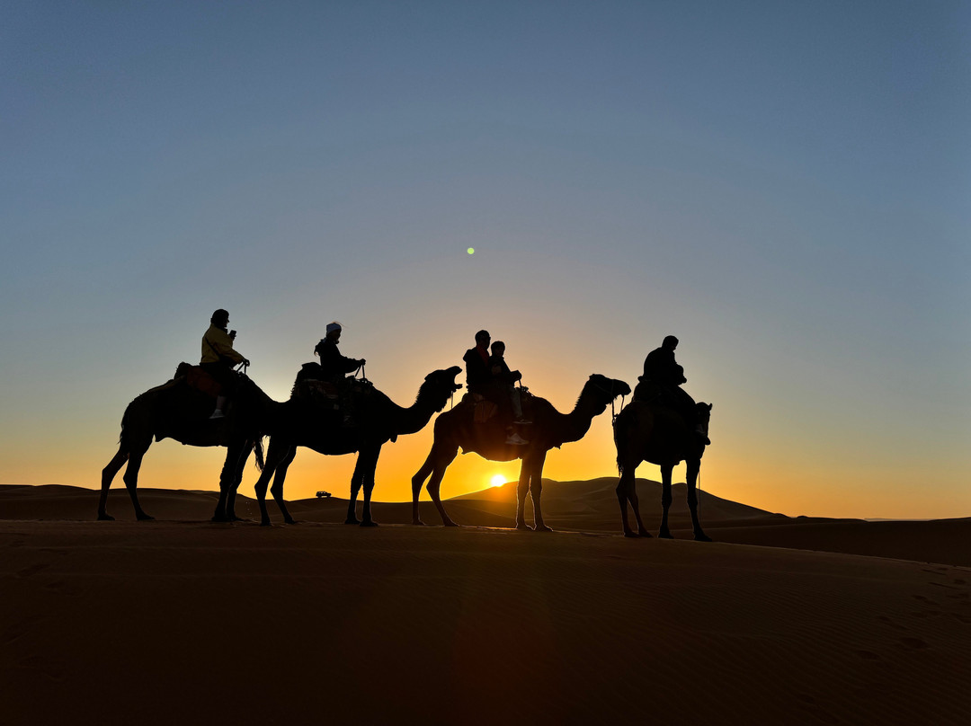 Camel Trip Morocco-梅如卡必去景点