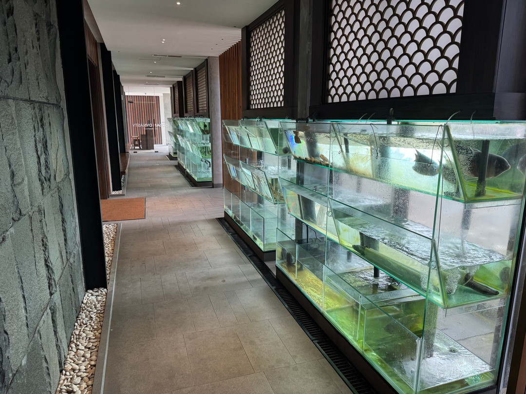 Restauran Ocean Dynasty Live Seafood