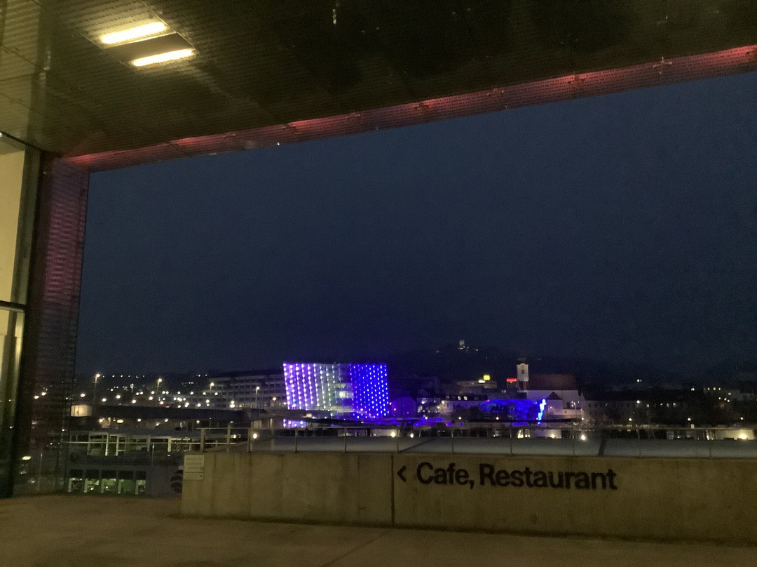 Lentos Kunstmuseum (Museum of Modern Art Linz)-林兹必去景点