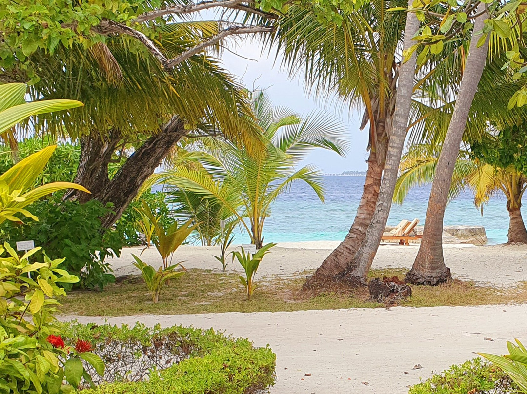 班多斯岛度假村主图