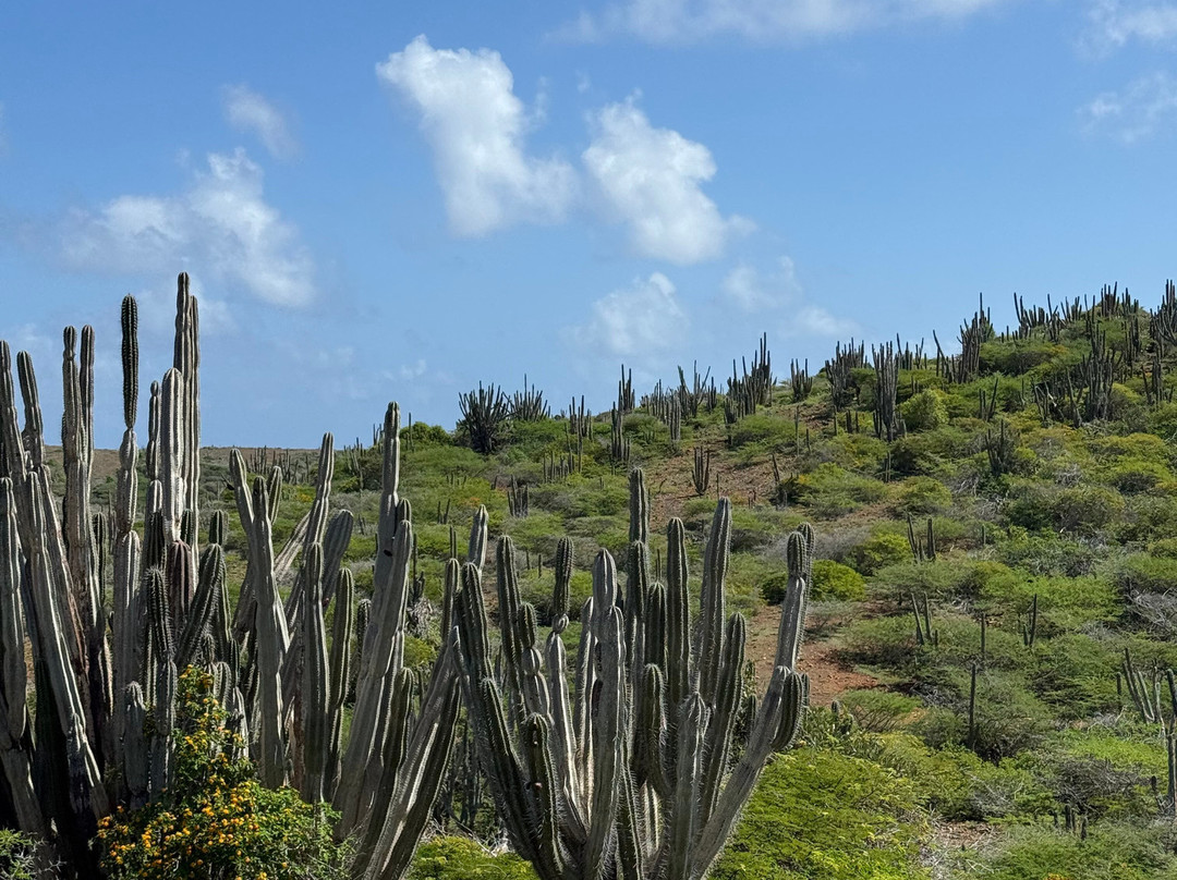 Fofoti Tours & Transfers-奥腊涅斯塔德必去景点