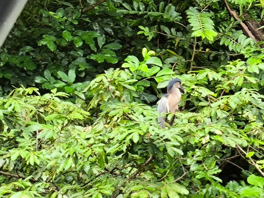 Genuine Costa Rica-Playas del Coco必去景点
