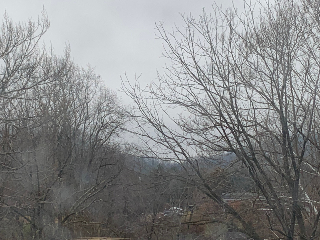 Rodeway Inn & Suites - Outlet Mall Asheville主图